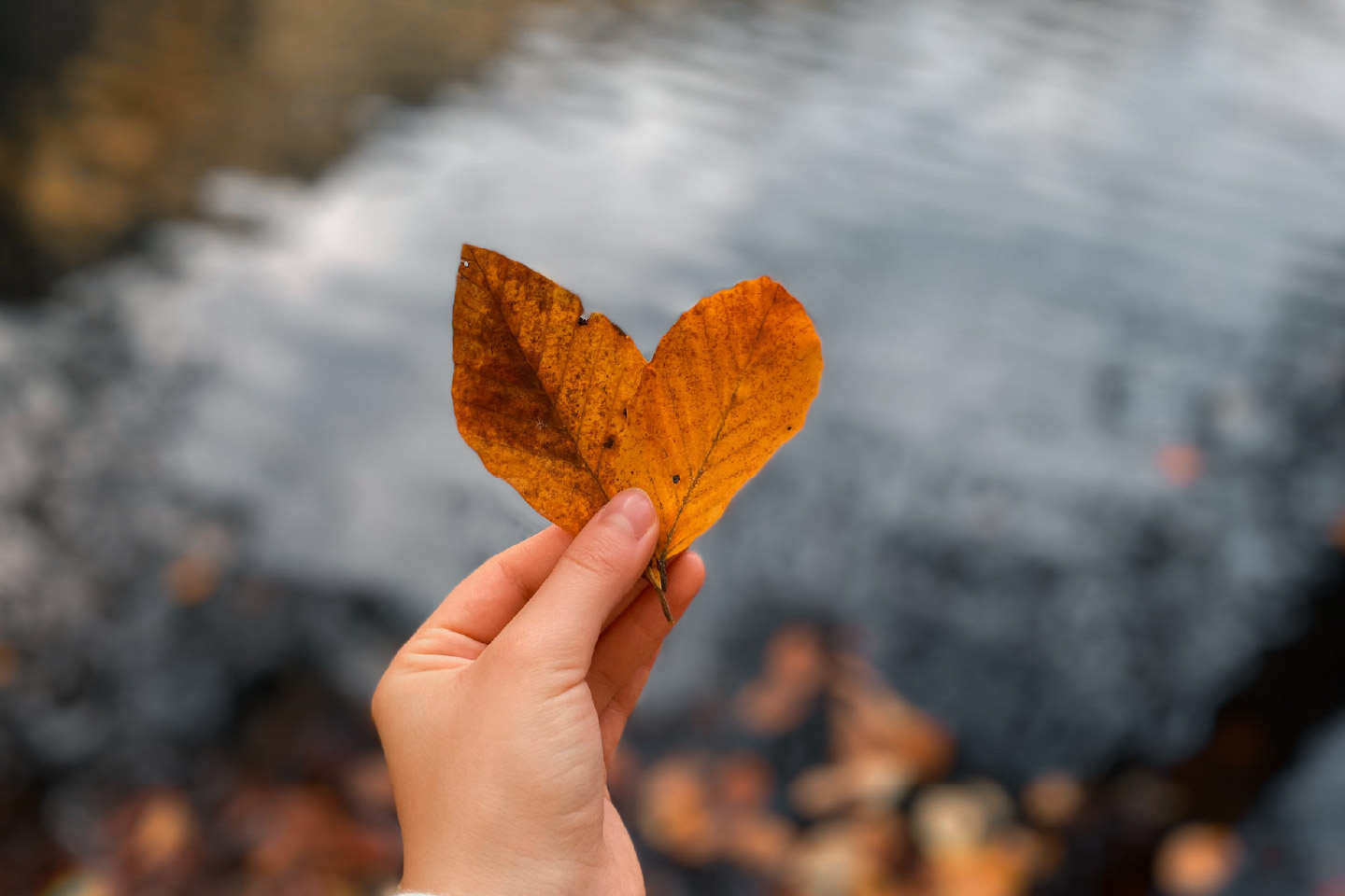 Autumn’s Greatest Gift